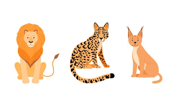 Gato felino o salvaje como animal carnívoro con conjunto de vectores de león y leopardo — Vector de stock