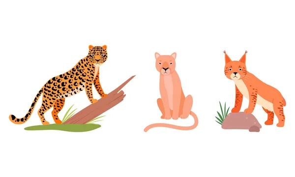 Gato felino o salvaje como animal carnívoro con conjunto de vectores de león y leopardo — Archivo Imágenes Vectoriales