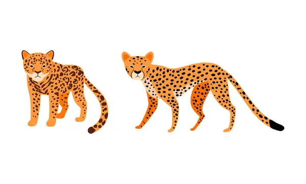 Gato felino o salvaje como animal carnívoro con conjunto de vectores de jaguar y leopardo — Archivo Imágenes Vectoriales