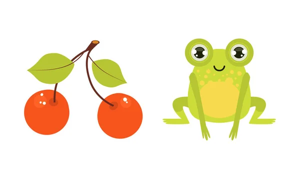 Green Frog and Cherry Berry on Branch Vector Set — Stock Vector