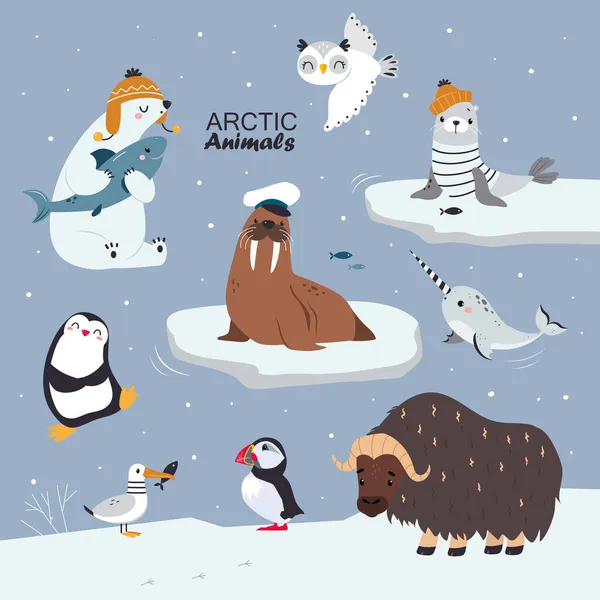 Arktiska djur med pingvin och isbjörn i varm stickad hatt vektor Illustration — Stock vektor