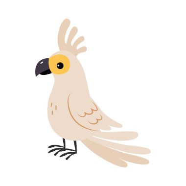 Kakadu Papağanı, Avustralya 'nın önde gelen Crest Vektör İllüstrasyonlu Hayvanı rolünde