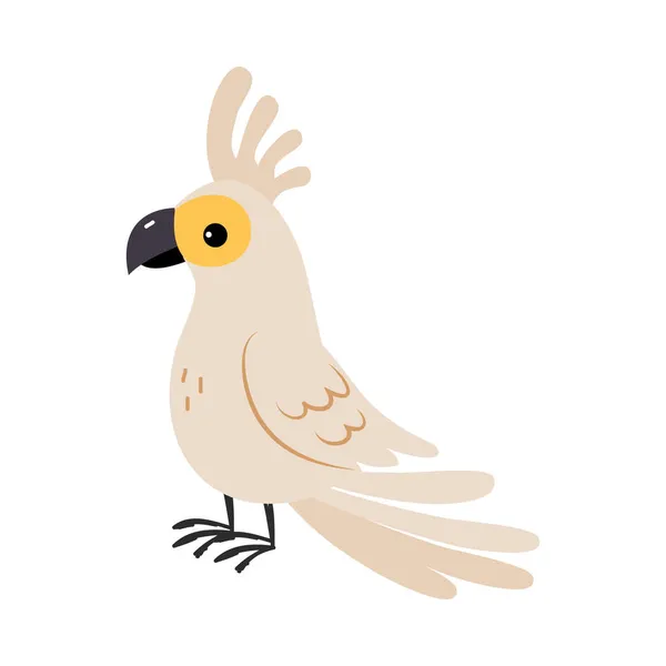 Papagaio-da-cacatua como animal australiano com ilustração vetorial proeminente de Crest — Vetor de Stock