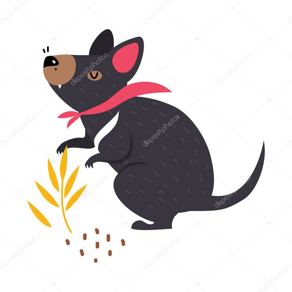 Tasmanian Devil as Australian Animal with Black Fur Vector Illustration