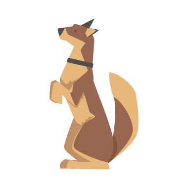 Hind Legs İllüstrasyonunda Oturan Boyunda Kahverengi Ceket ve Yakalı Köpek Cinsi