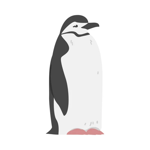 Chinstrap Penguin som akvatisk Fågel med Tofflor för simning i stående Pose Vector Illustration — Stock vektor