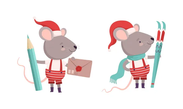 Rato cinzento bonito no Natal Santa Chapéu Segurando Envelope com Lápis e Ski Vector Set — Vetor de Stock