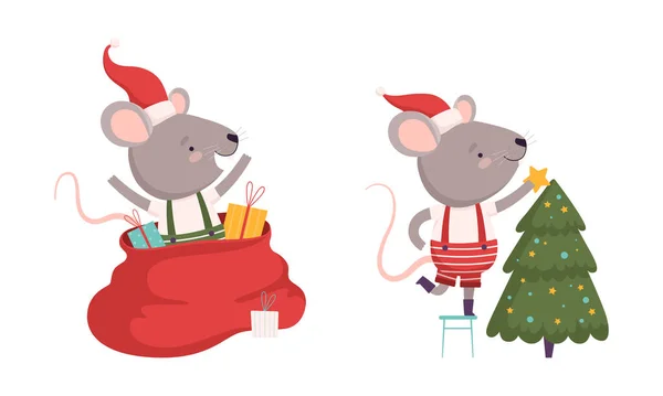 Lindo ratón gris en Navidad Santa Sombrero saltando de saco con regalos y decoración de abeto conjunto de vectores — Vector de stock