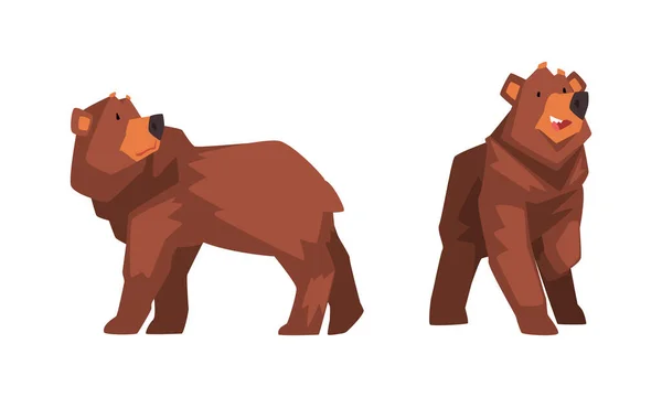 Wild Brown Grizzly Bear as Forest Habitant in Standing Pose Vector Set — Stockový vektor