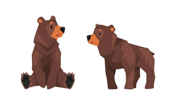 Wild Brown Grizzly Bear as Forest Habitant in Standing and Seitting Pose Vector Set — Stockový vektor