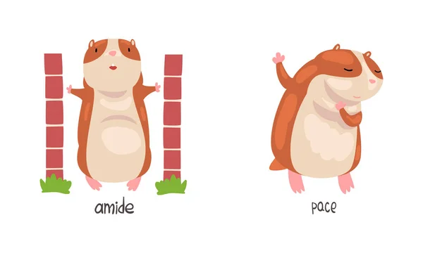 Söt hamster demonstrera engelska språket preposition Word Vector Set — Stock vektor