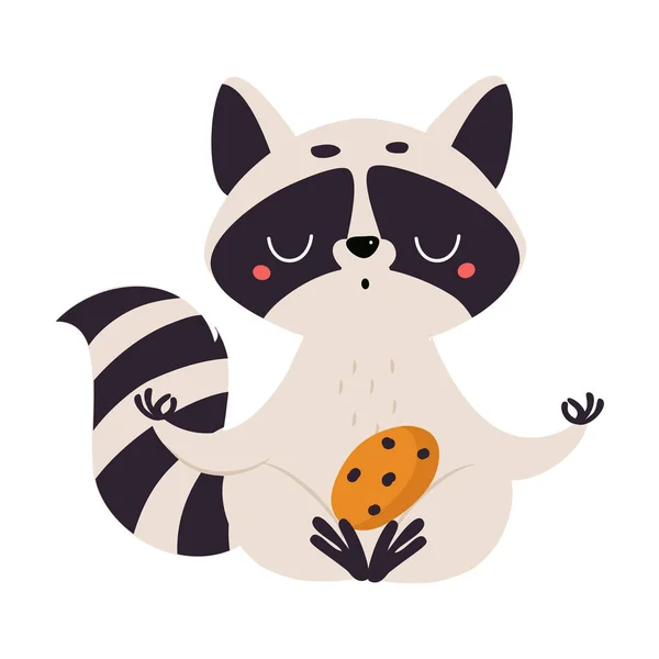 Cute Raccoon Character with Ringed Tail Sitting in Lotus Pose with Cookie Vector Illustration — Stock Vector