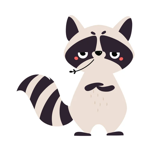 Cute Raccoon Character with Ringed Tail Standing and Chewing Grass Blade Vector Illustration - Stok Vektor
