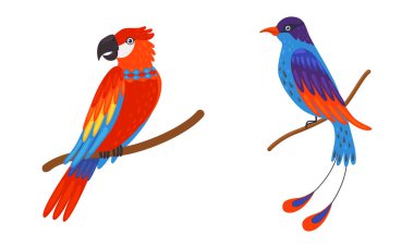 Tropical Bird with Bright Feathers Sitting on Tree Branch Vector Set clipart