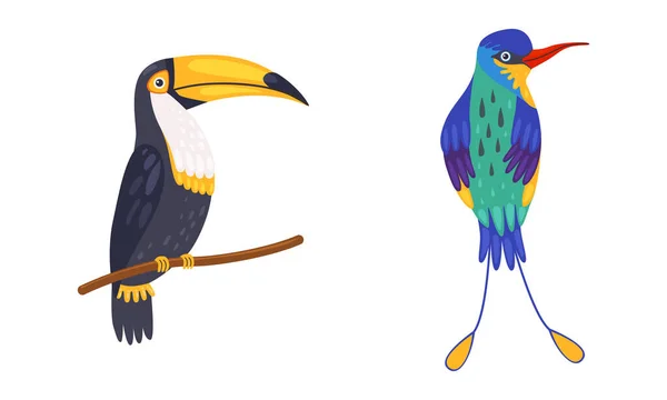 ツリーブランチベクトルセットに座って明るい羽を持つ熱帯鳥 — ストックベクタ