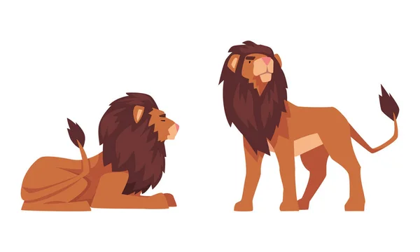 Proud Powerful Lion Mammal with Prominent Mane and Hairy Tuft on Its Tail Vector Set — Stock Vector