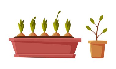 Çiçek açan bahçe ve filizlenen saksı taşıyıcısı kümesi