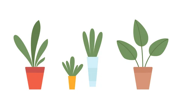 Planta interior e folhagem verde crescendo em conjunto de vetores de vasos cerâmicos —  Vetores de Stock