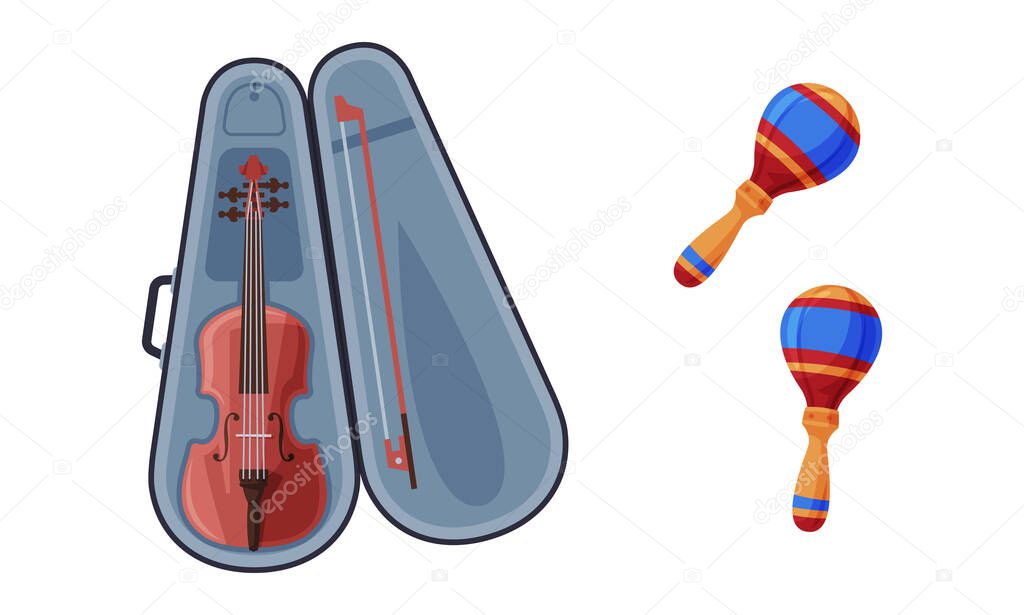 Violin in Case and Maraca as Musical Instrument Vector Set