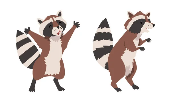 Funny Raccoon with Striped Tail Standing and Stealing Vector Set — Stock Vector
