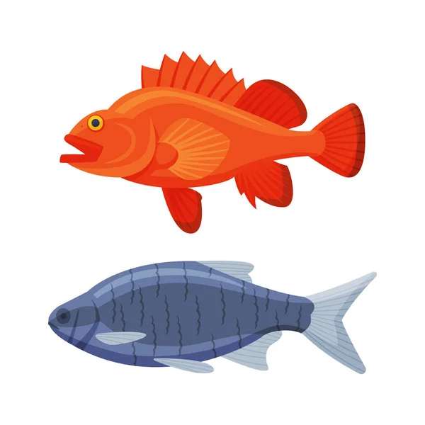 River or Freshwater Fish as Seafood Vector Set — Wektor stockowy