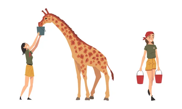 Woman Zookeeper Feeding Giraffe with Bucket Engaged in Daily Care of Animal Vector Set — Archivo Imágenes Vectoriales