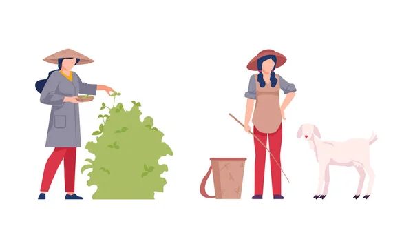 Asian Female Farmer Cultivating Agricultural Crop and Breeding Livestock Vector Illustration Set — Stock vektor