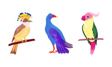 Tropical Bird with Bright Feathers Sitting on Tree Branch Vector Illustration Set clipart