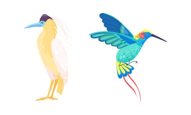 Tropical Bird with Bright Feathers Vector Illustration Set clipart
