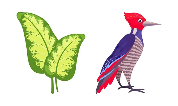 Tropical Bird with Bright Feathers and Green Leaf Vector Illustration Set — ストックベクタ