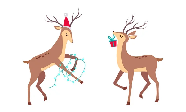 Slender Reindeer with Antler Wearing Hat and Carrying Gift Box Vector Set — Wektor stockowy