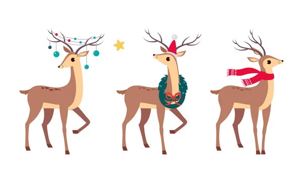 Slender Reindeer with Antler Wearing Scarf and Advent Wreath Vector Set — Stockvektor