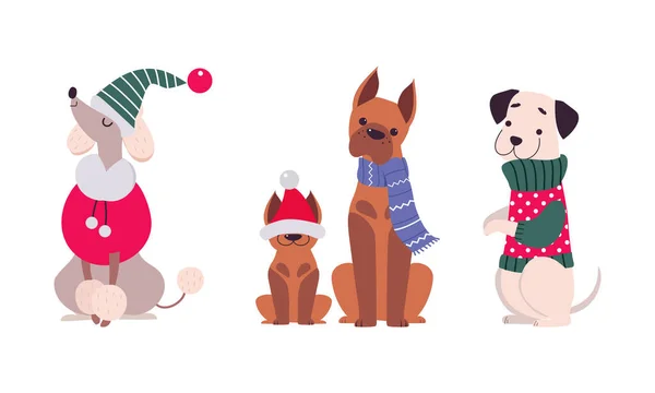 Cães bonitos de raças diferentes vestidos com camisola feia de Natal e vetor de cachecol conjunto — Vetor de Stock