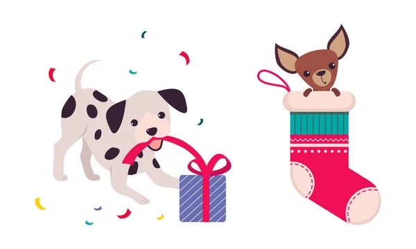 Perros lindos de diferentes razas jugando con caja de regalo y sentado en el conjunto de vectores de medias de Navidad — Archivo Imágenes Vectoriales