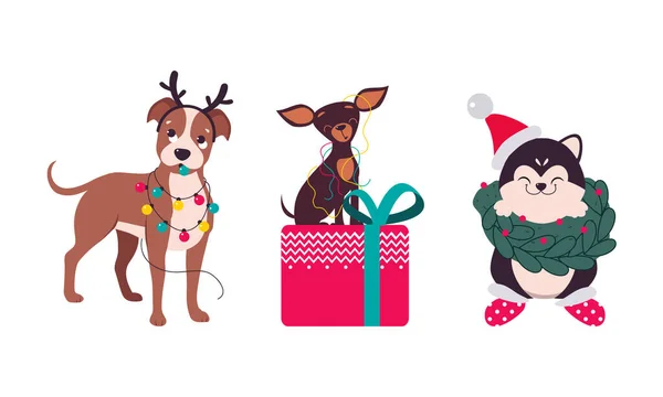 Niedliche Hunde verschiedener Rassen verheddern sich mit Girlanden und sitzen auf Geschenk-Box-Vektor-Set — Stockvektor
