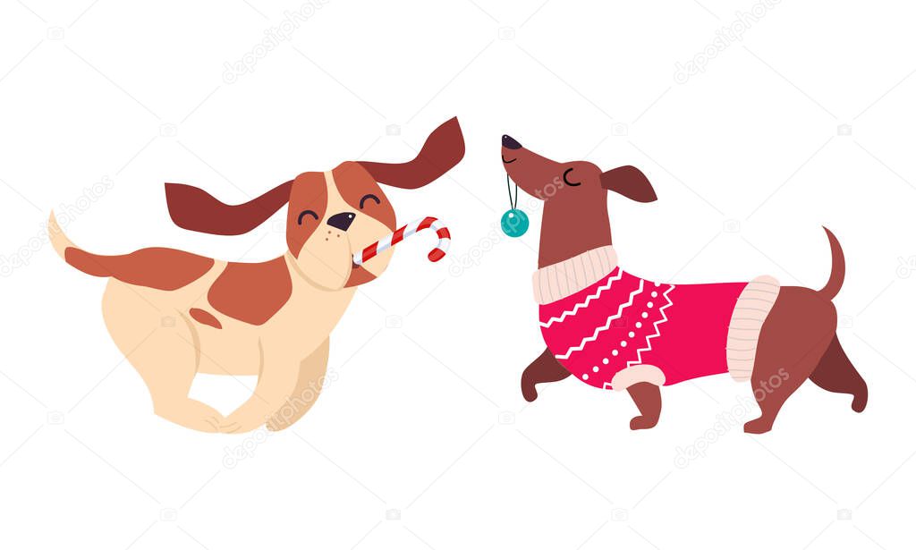 Cute Dogs of Different Breed Dressed in Christmas Ugly Sweater Running with Candy Cane and Bauble Vector Set