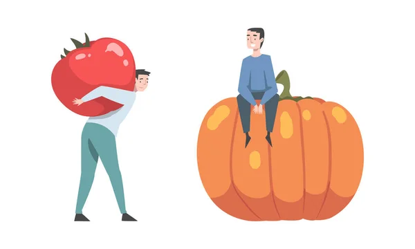 Man Carrying Huge Red Tomato on His Back and Sitting on Orange Pumpkin Vector Set — Stock Vector