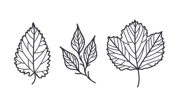 Hand Tecknade Hösten Bladkontur eller kontur vektor Illustration Set — Stock vektor