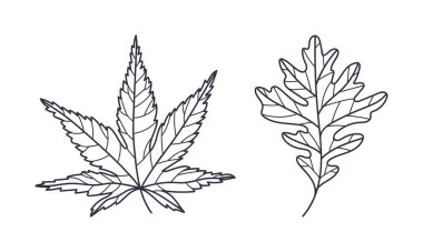 El Yazması Güz Yaprağı Kongresi veya Taslak Vektör Resimleri