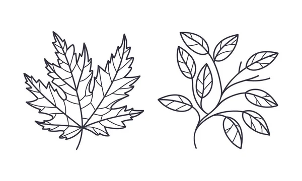 Conjunto de ilustración vectorial de contorno o contorno de hoja de otoño dibujado a mano — Archivo Imágenes Vectoriales