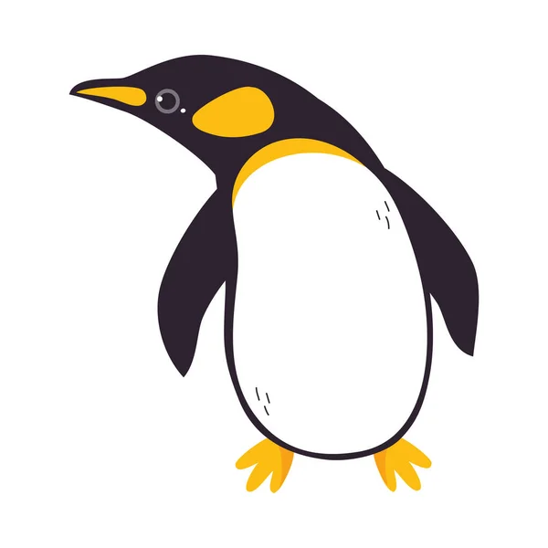 Funny Emperor Penguin as Aquatic Flightless Bird with Flippers Vector Illustration — Stock Vector