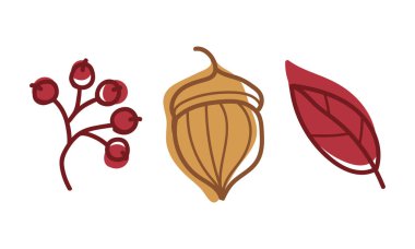 Kök Vektör Kümesinde Mevsimsel Yaprak Olarak Renkli Sonbahar Yaprağı Damarlar ve Böğürtlen Dalı