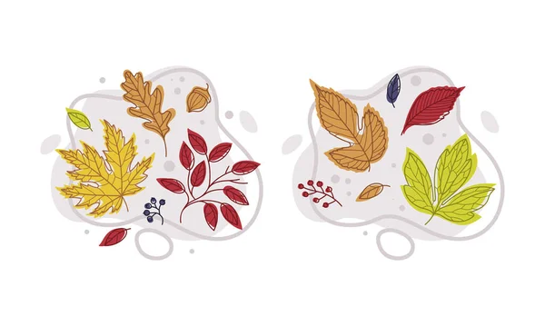 Осенняя яркая листва с разным набором векторных цветов листьев — стоковый вектор