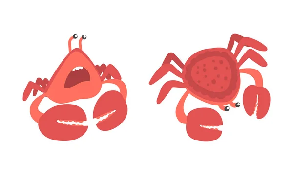Carácter de cangrejo rojo como mamífero acuático con par de pinzas Vector Illustration Set — Vector de stock