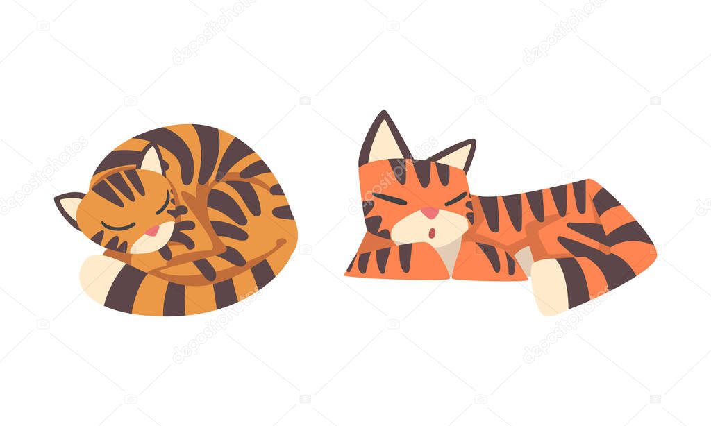 Tiger Character with Orange Fur and Black Stripes Cuddling and Sleeping Vector Illustration Set