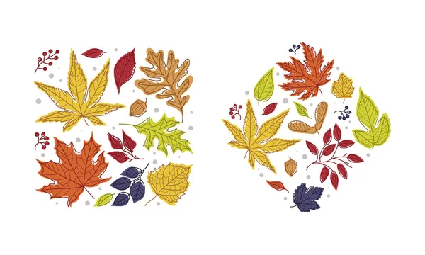 Shape with Bright Autumn Foliage of Different Leaf Color Vector Arrangement Set — Stock Vector
