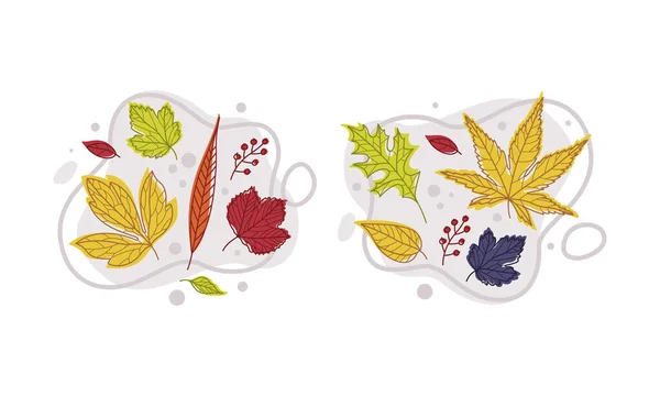Осенняя яркая листва с разным набором векторных цветов листьев — стоковый вектор