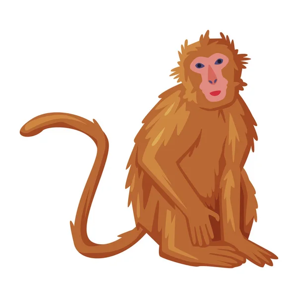 Brown Sitting Monkey as Bali Traditional Cultural Attribute Vector Illustration — Stock Vector