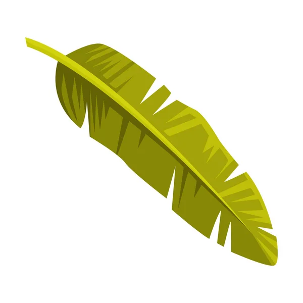 Зеленый тропический лист и листья балийской векторной иллюстрации — стоковый вектор
