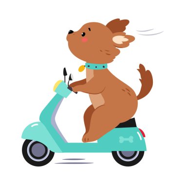 Şirin Kahverengi Köpek Yavrusu Karakteri Motosikletli Scooter ya da Motosikletli Vektör İllüstrasyonu
